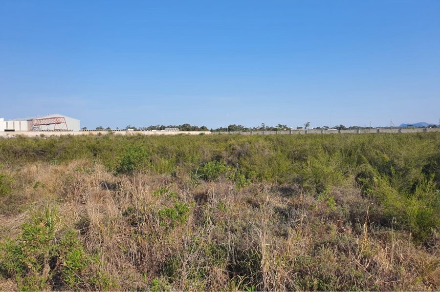 0 Bedroom Property for Sale in Greenbushes Eastern Cape